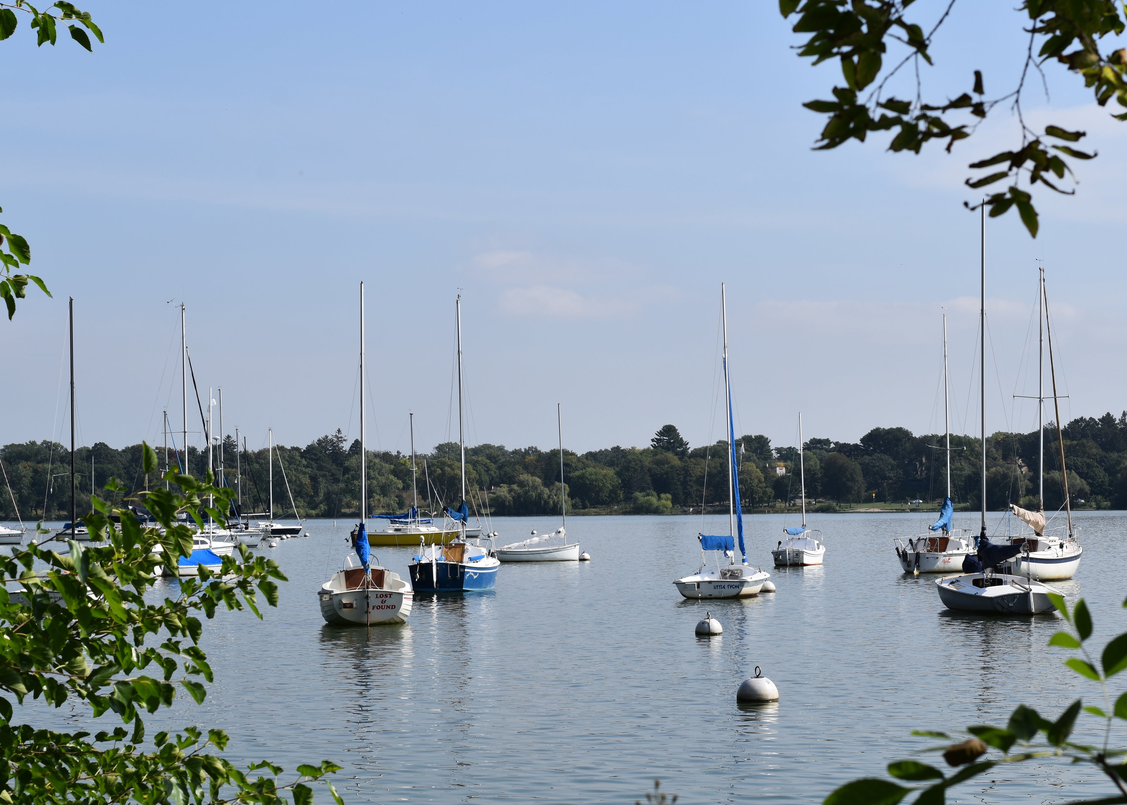 Lake Sail Boat Print