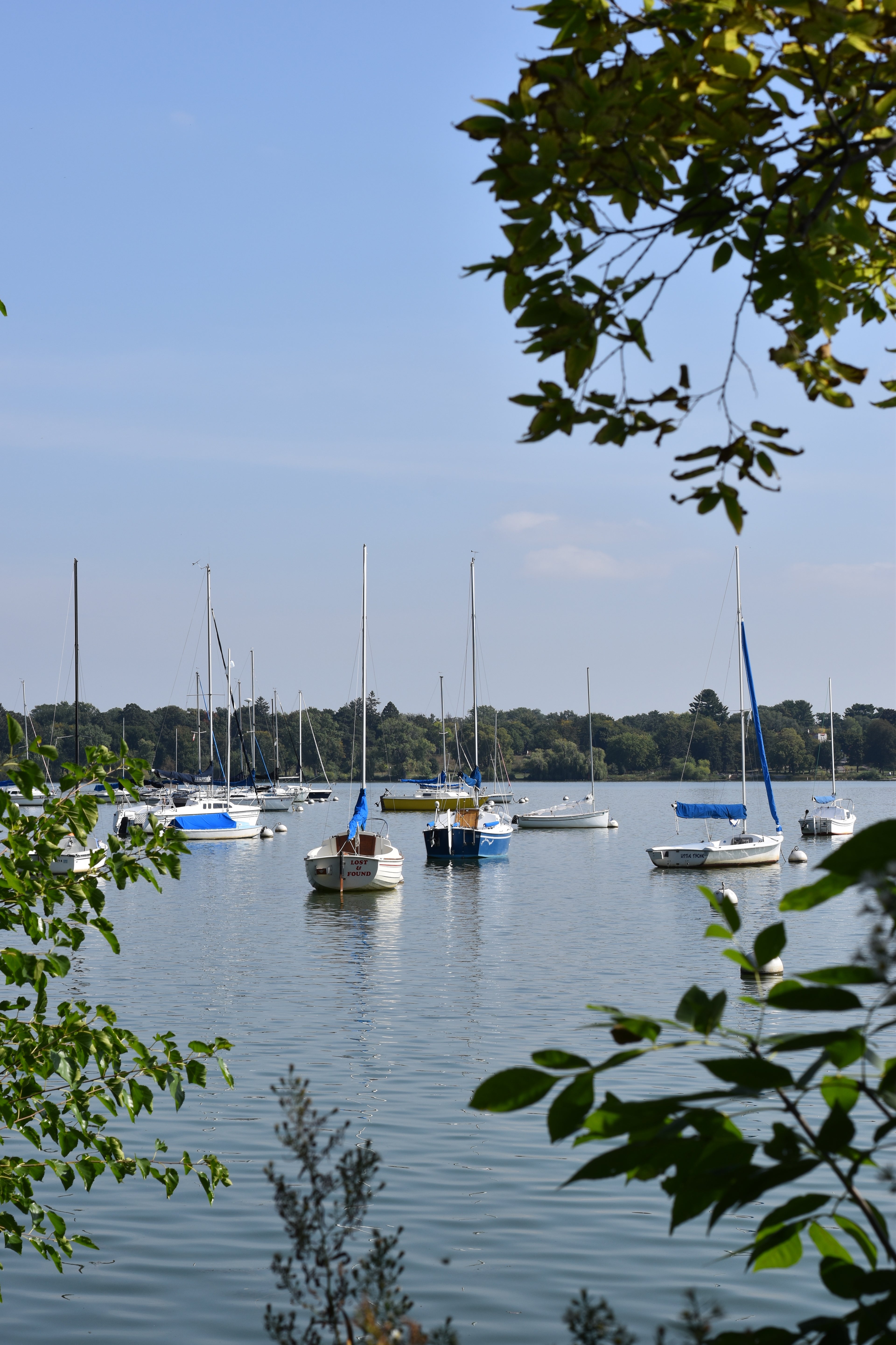 Lake Sail Boat Print (Vertical)