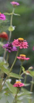 Garden Bookmark