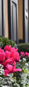 Window Box Bookmark